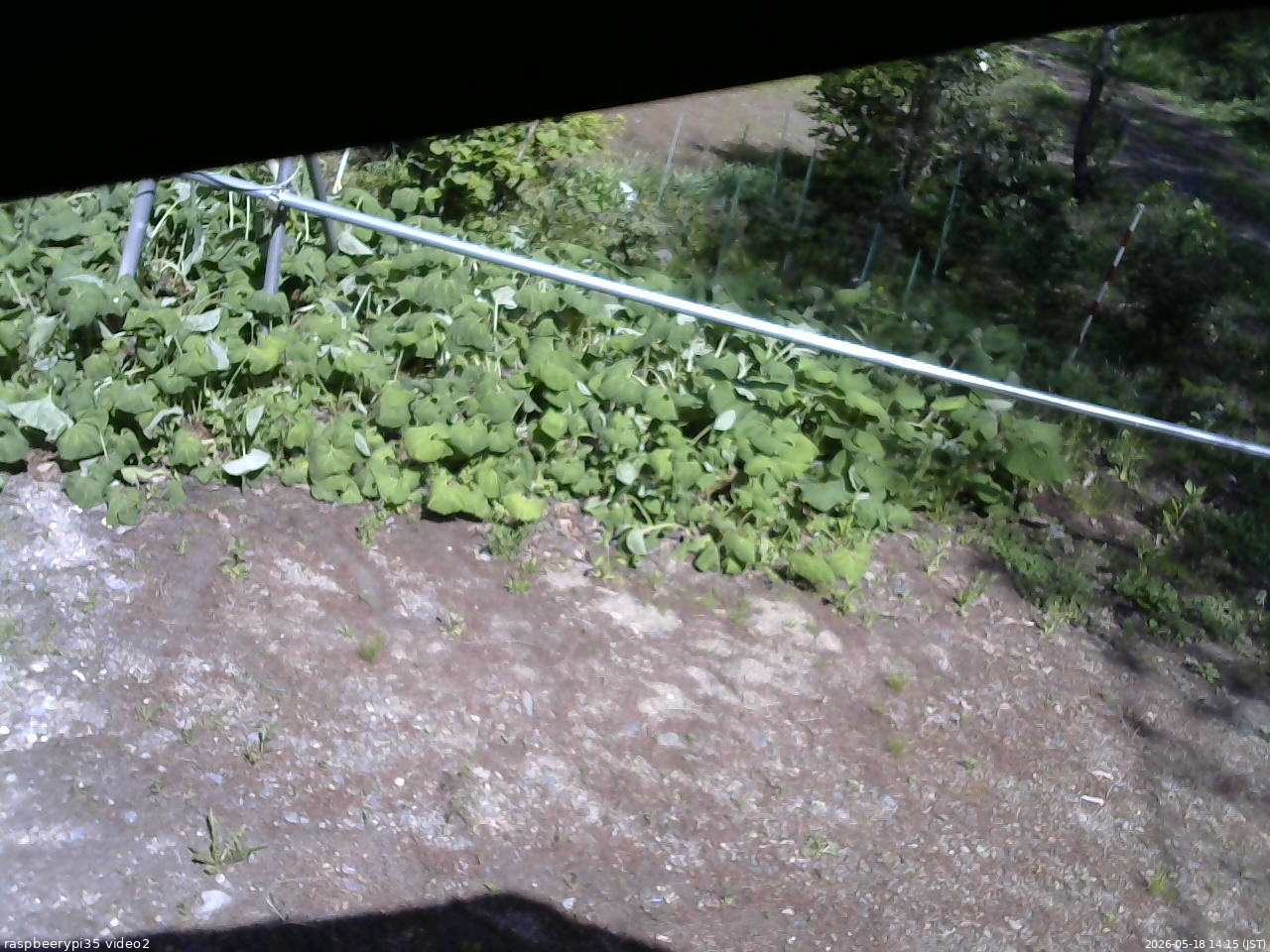 長野県菅平高原 ゆたか山荘 駐車場 2026/05/18 14:15