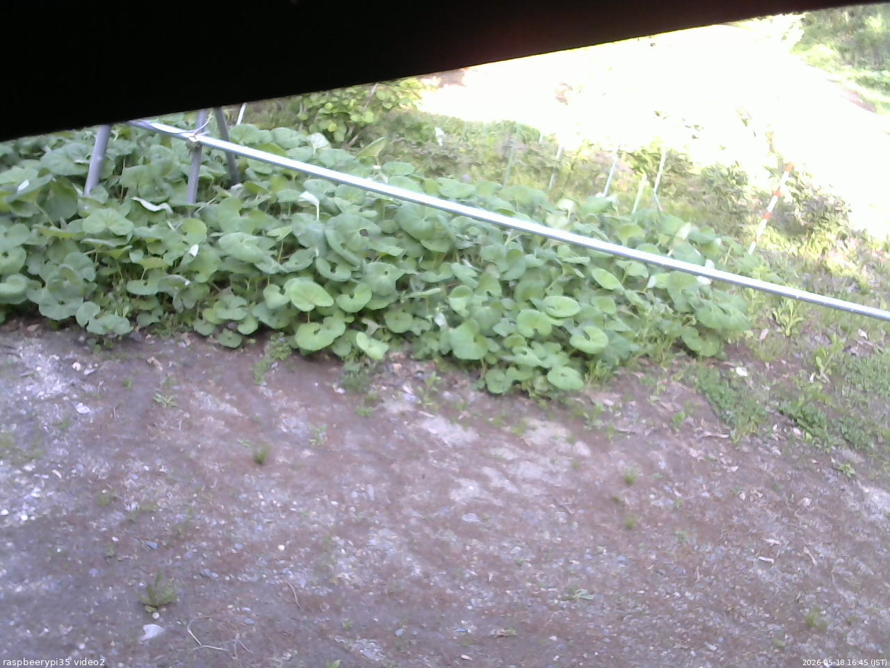 長野県菅平高原 ゆたか山荘 駐車場 2026/05/18 16:45