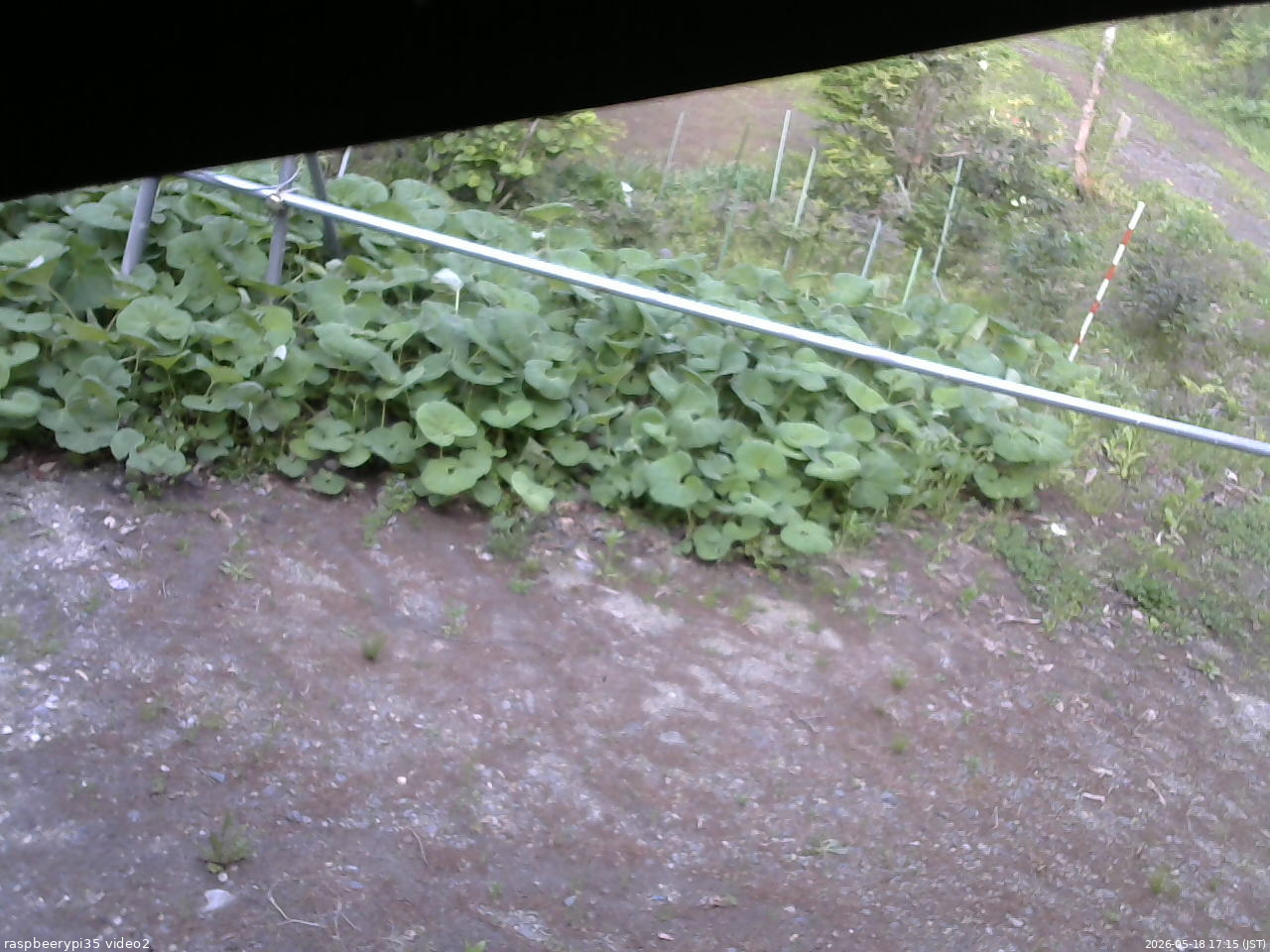 長野県菅平高原 ゆたか山荘 駐車場 2026/05/18 17:15