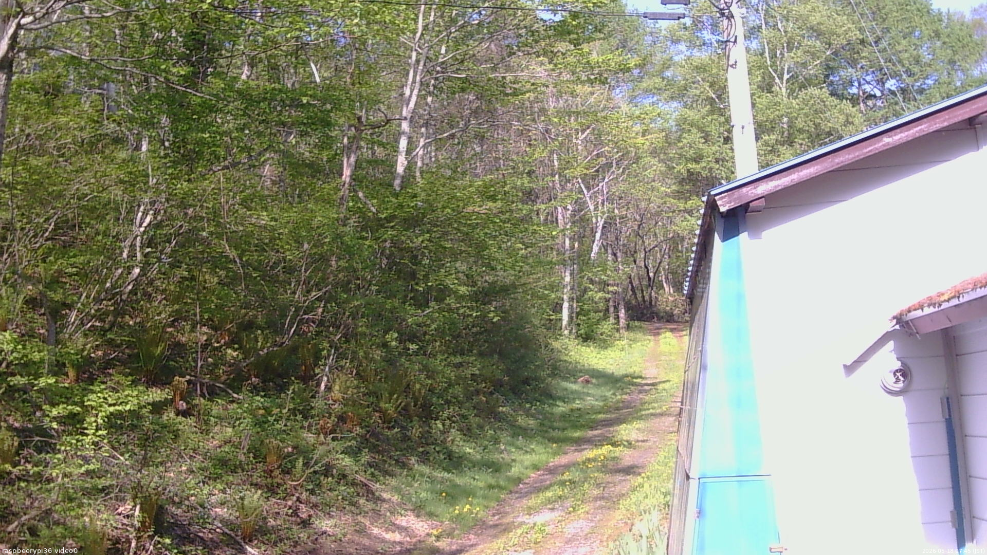 長野県菅平高原 ゆたか山荘 ゆたか山荘 2026/05/18 07:45