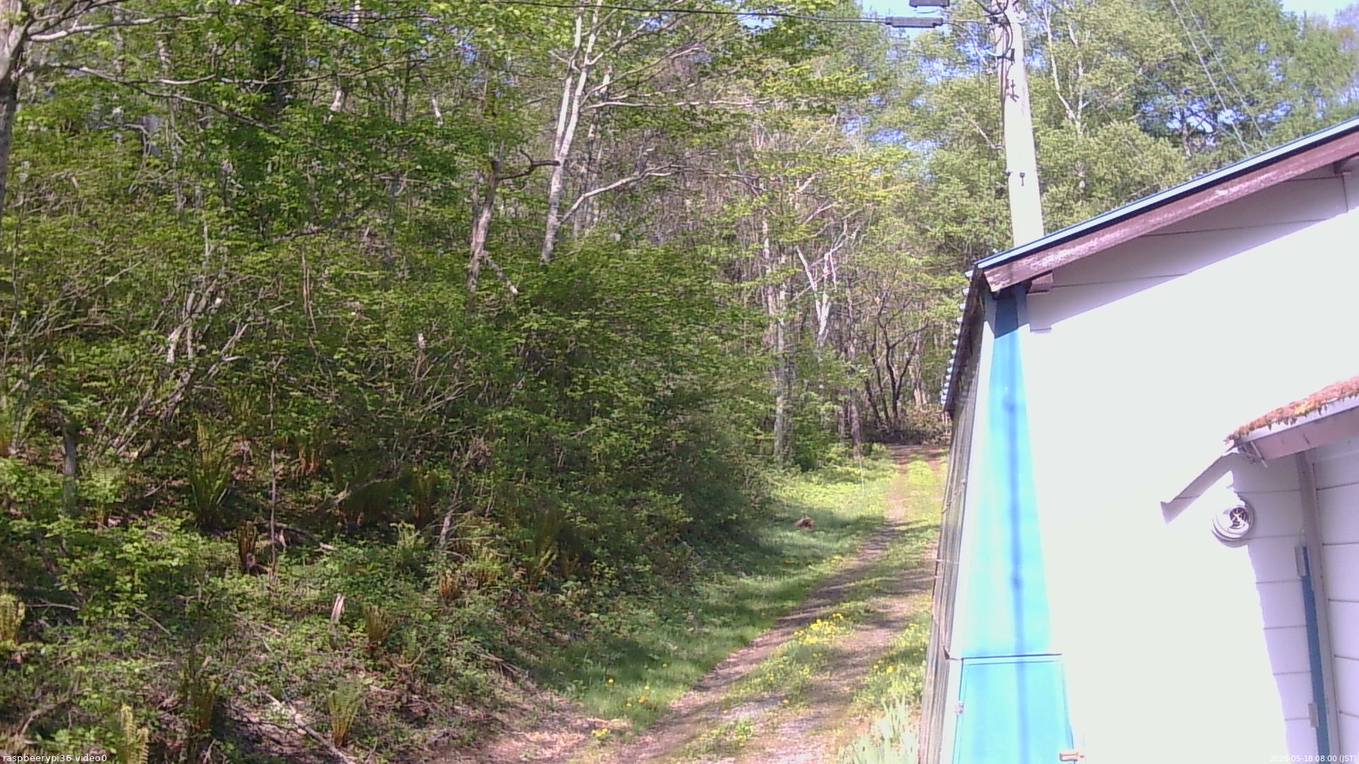 長野県菅平高原 ゆたか山荘 ゆたか山荘 2026/05/18 08:00