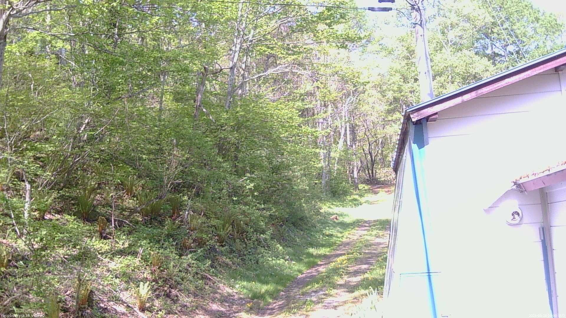 長野県菅平高原 ゆたか山荘 ゆたか山荘 2026/05/18 09:00