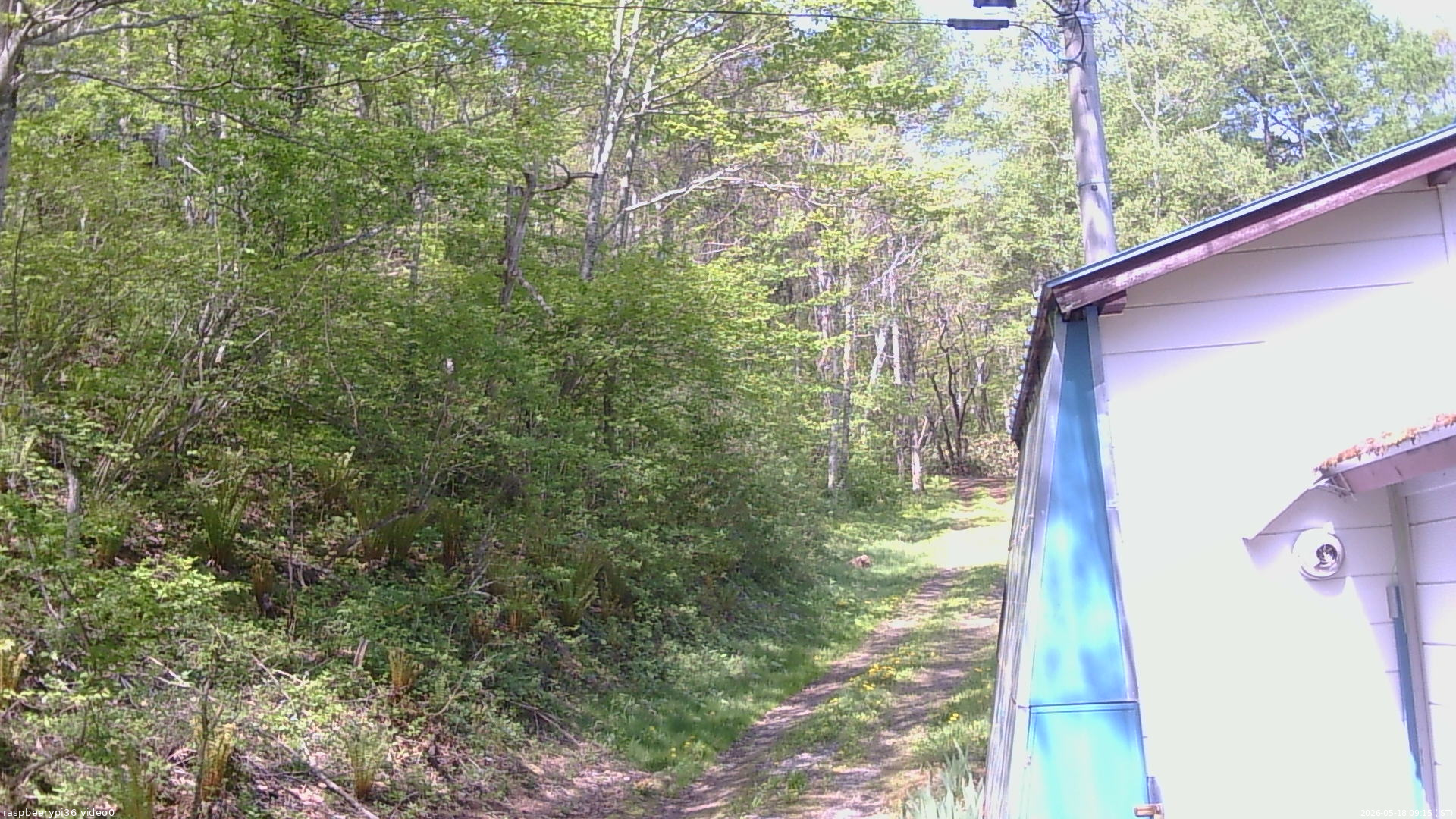 長野県菅平高原 ゆたか山荘 ゆたか山荘 2026/05/18 09:15