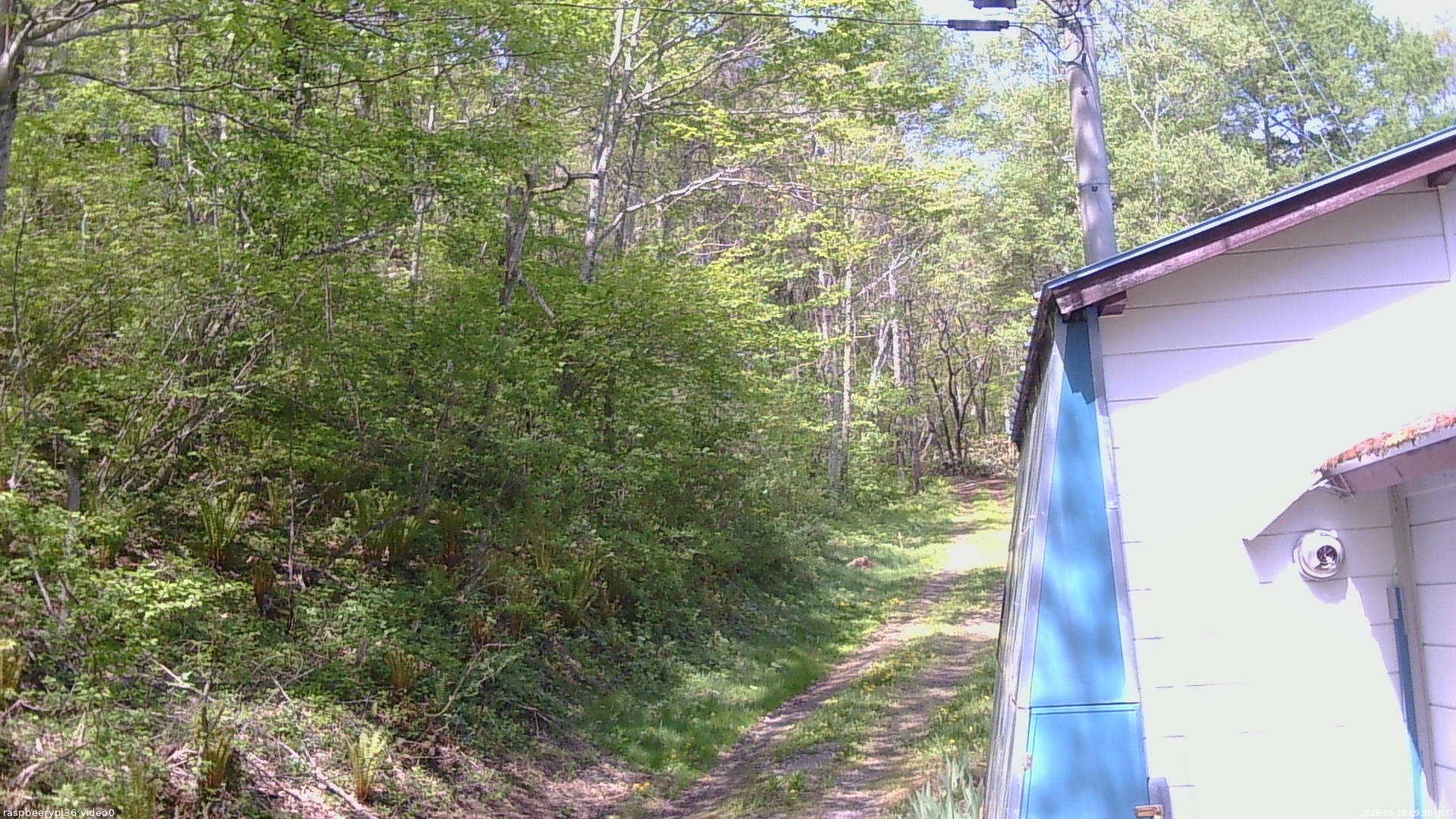 長野県菅平高原 ゆたか山荘 ゆたか山荘 2026/05/18 09:30