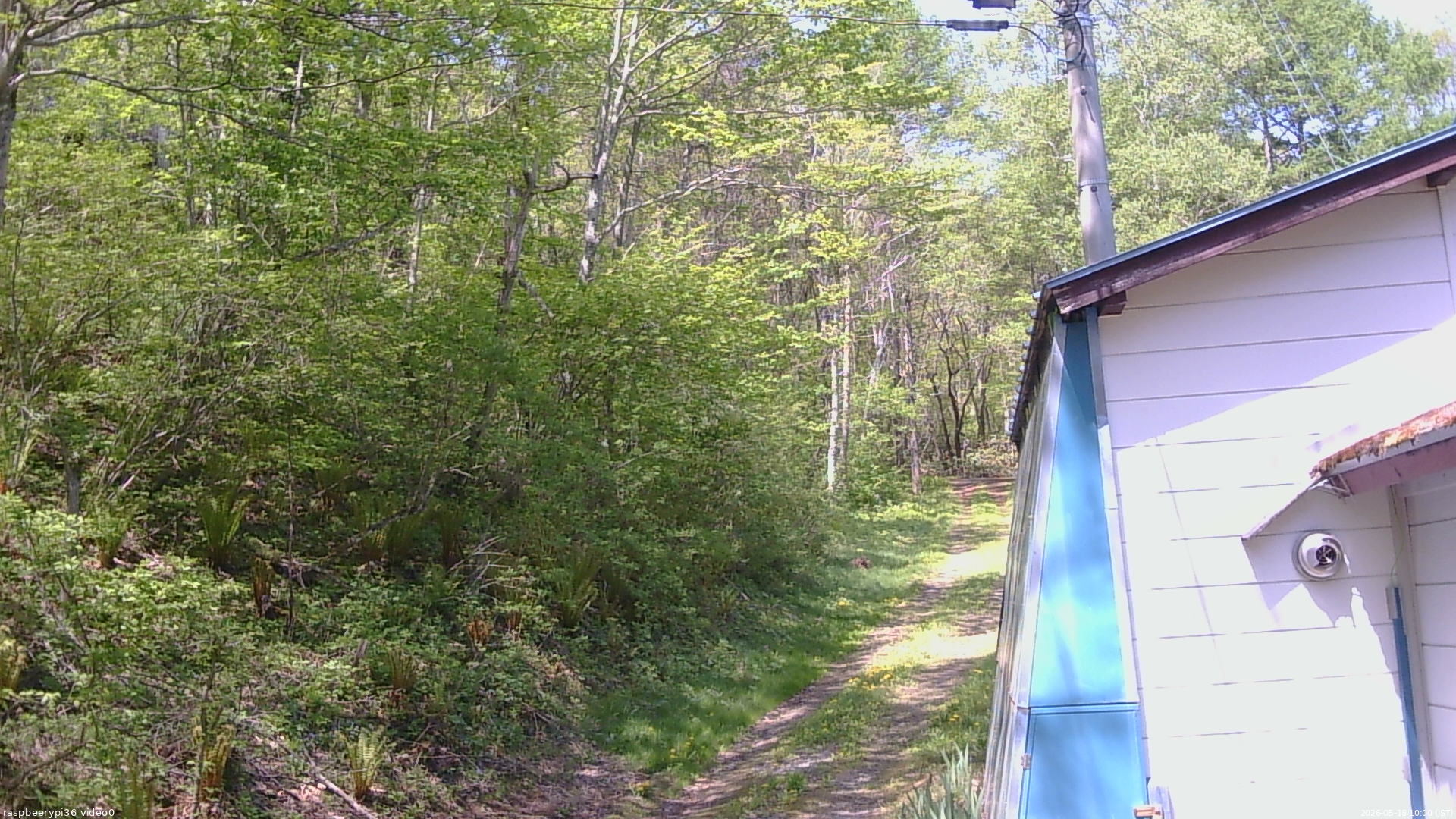 長野県菅平高原 ゆたか山荘 ゆたか山荘 2026/05/18 10:00