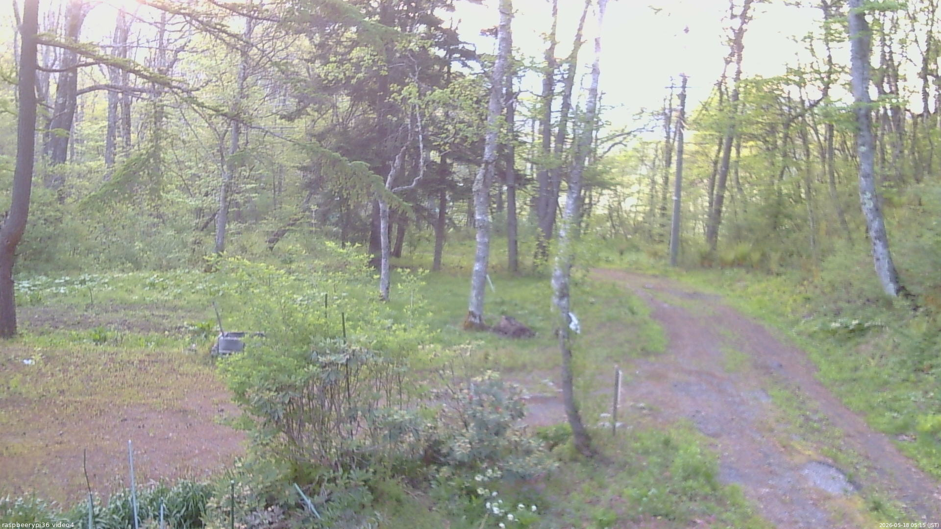 長野県菅平高原 ゆたか山荘 坂上 2026/05/18 05:15