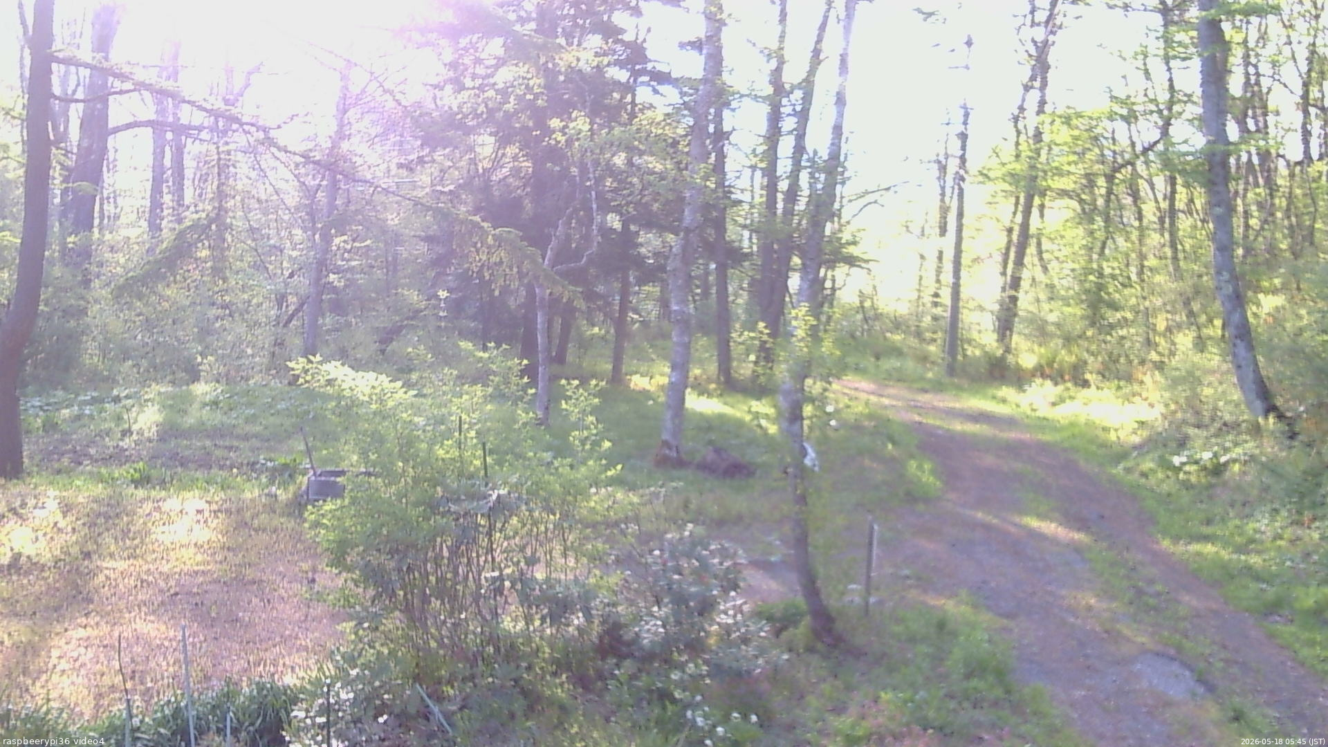 長野県菅平高原 ゆたか山荘 坂上 2026/05/18 05:45