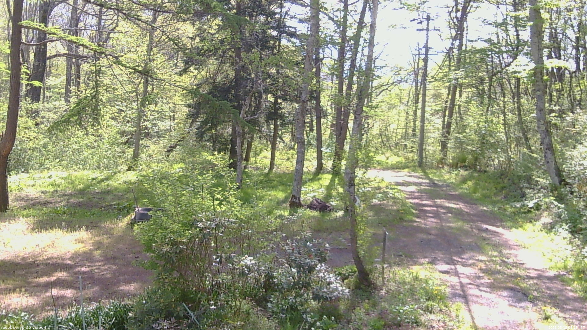 長野県菅平高原 ゆたか山荘 坂上 2026/05/18 08:15