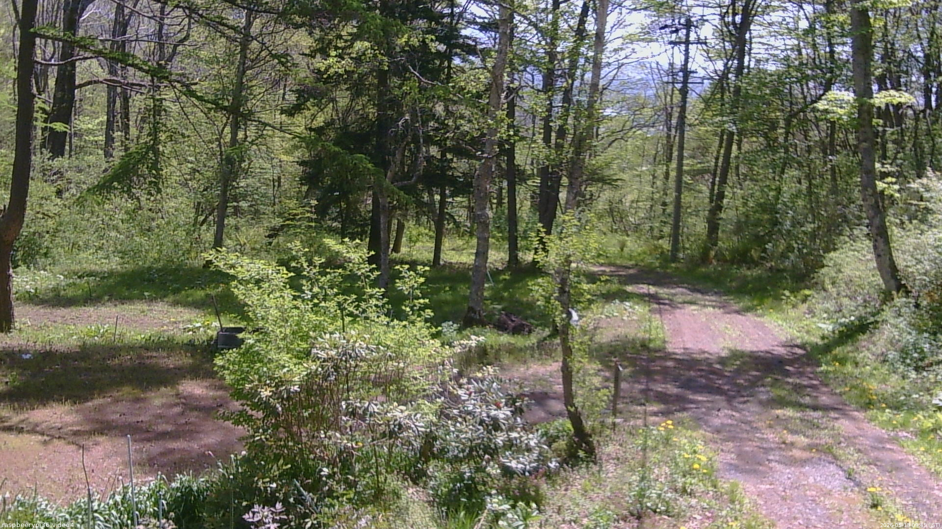 長野県菅平高原 ゆたか山荘 坂上 2026/05/18 09:45