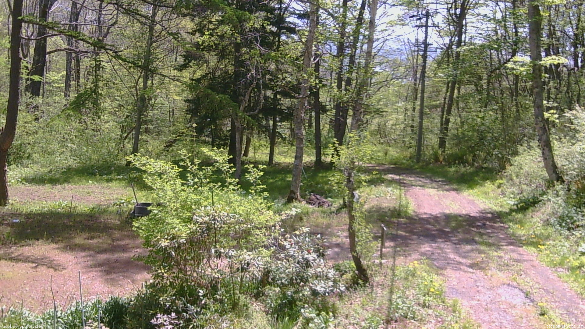 長野県菅平高原 ゆたか山荘 坂上 2026/05/18 10:00