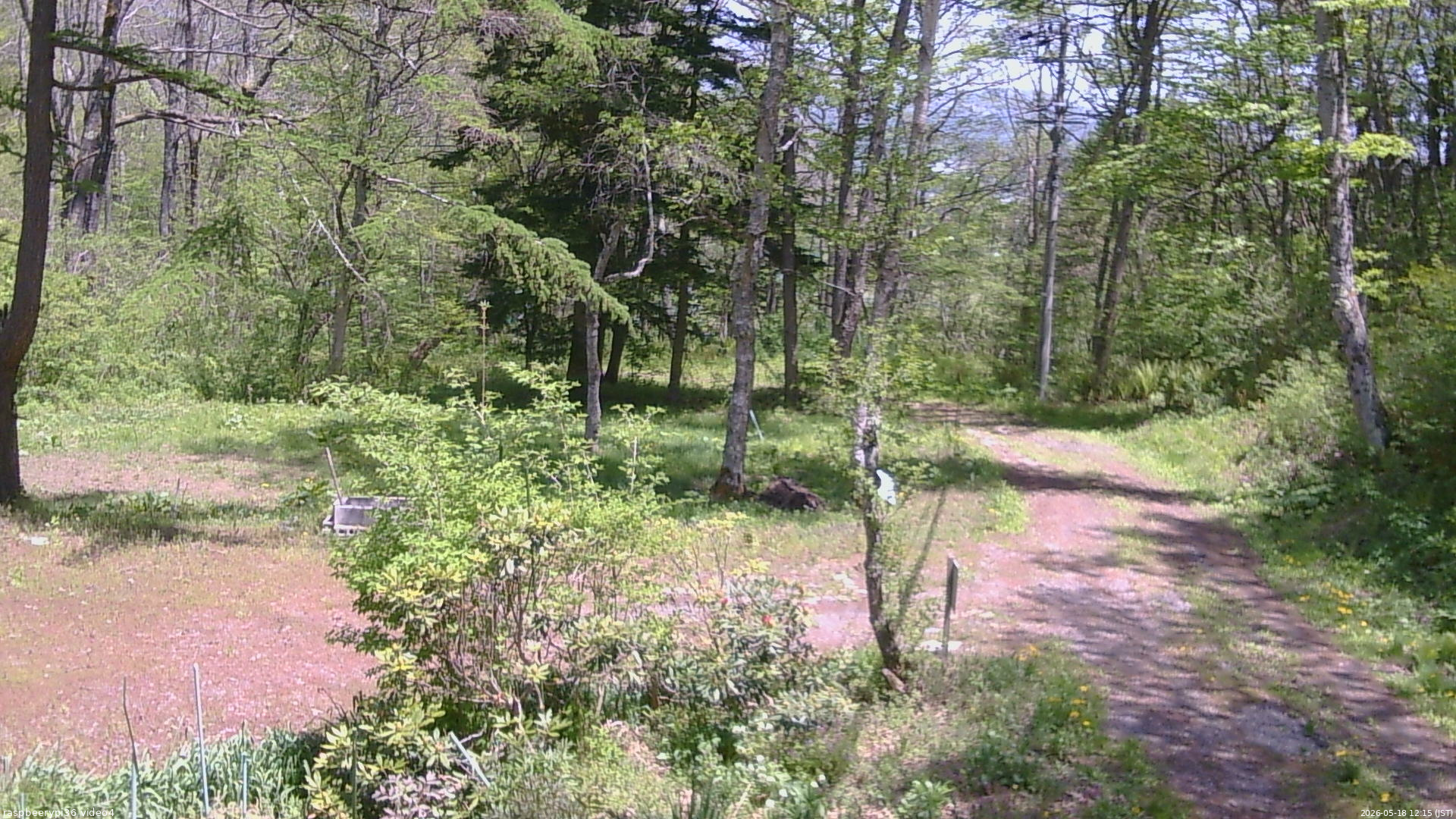 長野県菅平高原 ゆたか山荘 坂上 2026/05/18 12:15