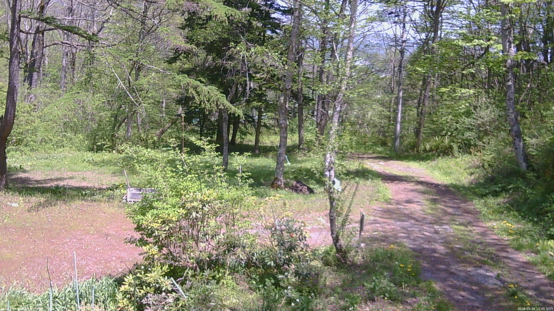 長野県菅平高原 ゆたか山荘 坂上 2026/05/18 12:45