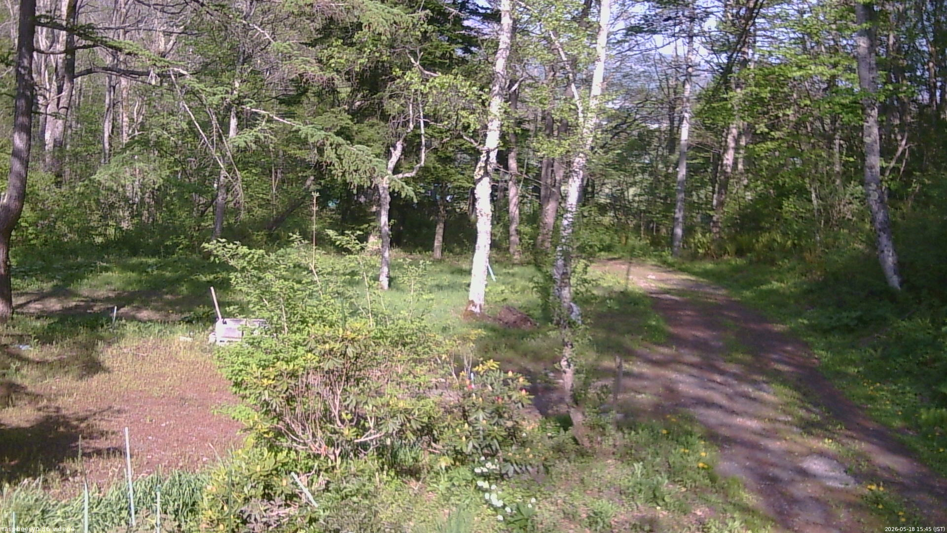 長野県菅平高原 ゆたか山荘 坂上 2026/05/18 15:45