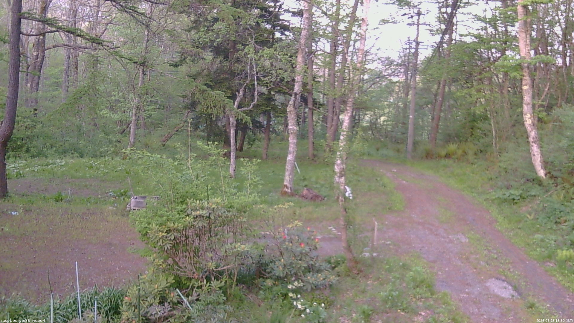 長野県菅平高原 ゆたか山荘 坂上 2026/05/18 18:30