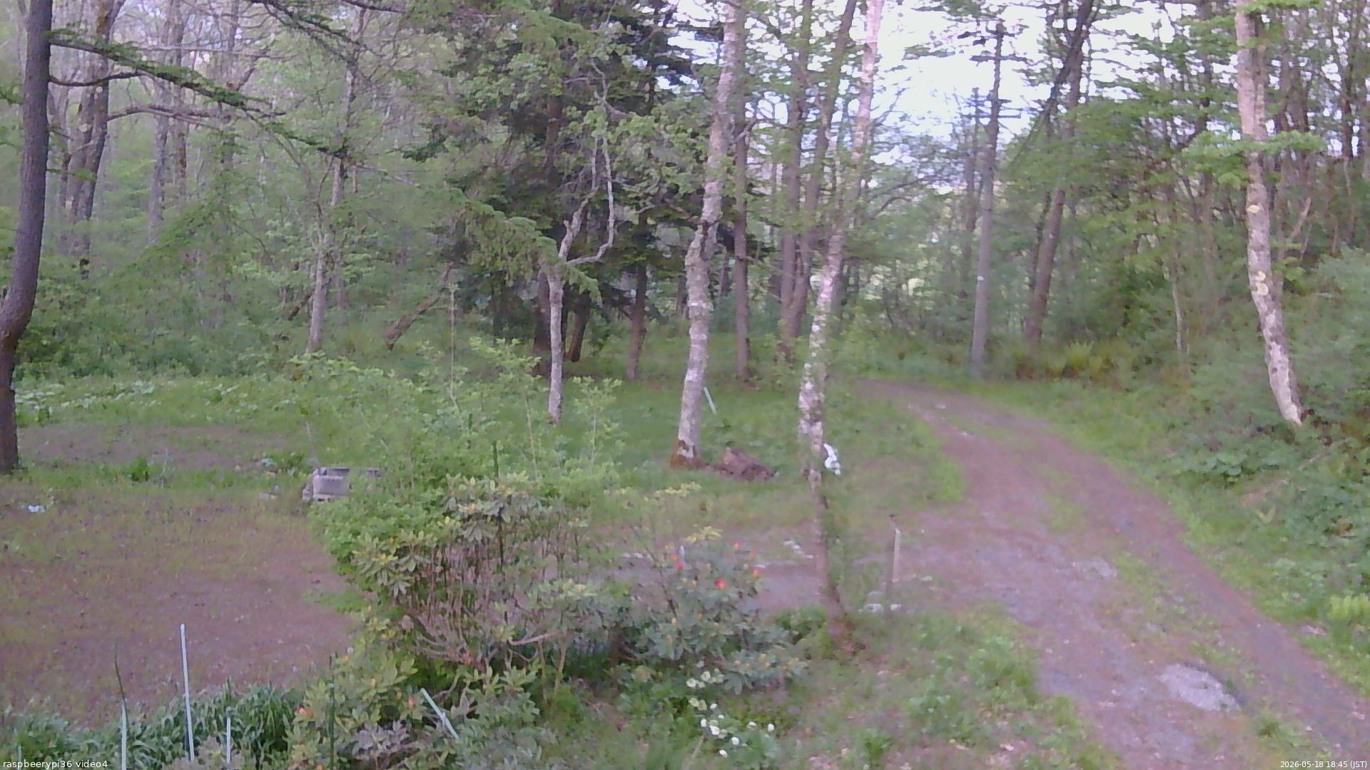 長野県菅平高原 ゆたか山荘 坂上 2026/05/18 18:45