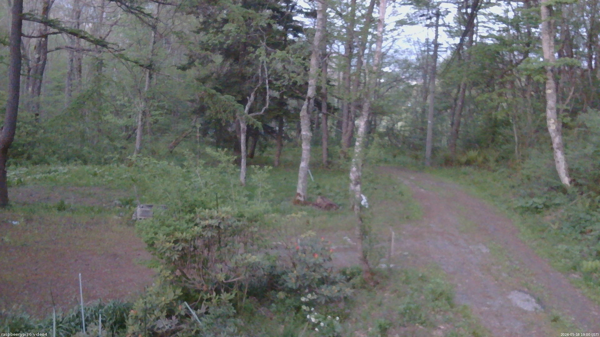 長野県菅平高原 ゆたか山荘 坂上 2026/05/18 19:00