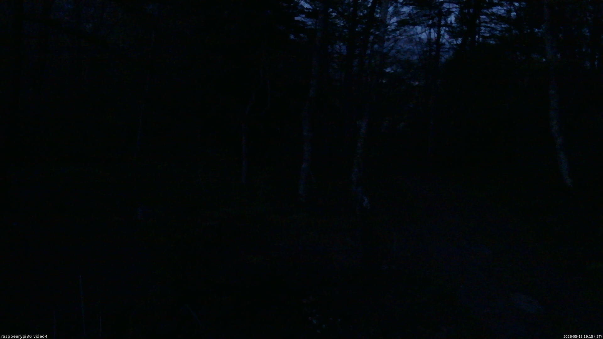 長野県菅平高原 ゆたか山荘 坂上 2026/05/18 19:15