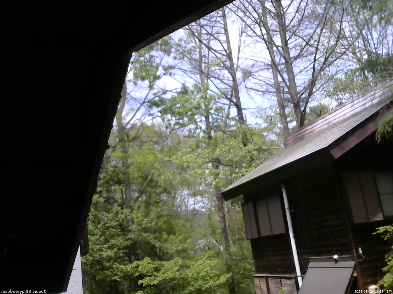 長野県菅平高原 ゆたか山荘 北側 2026/05/19 12:45