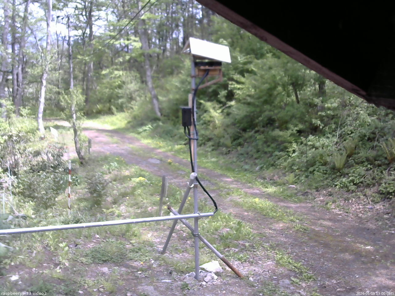 長野県菅平高原 ゆたか山荘 南側 2026/05/19 13:00