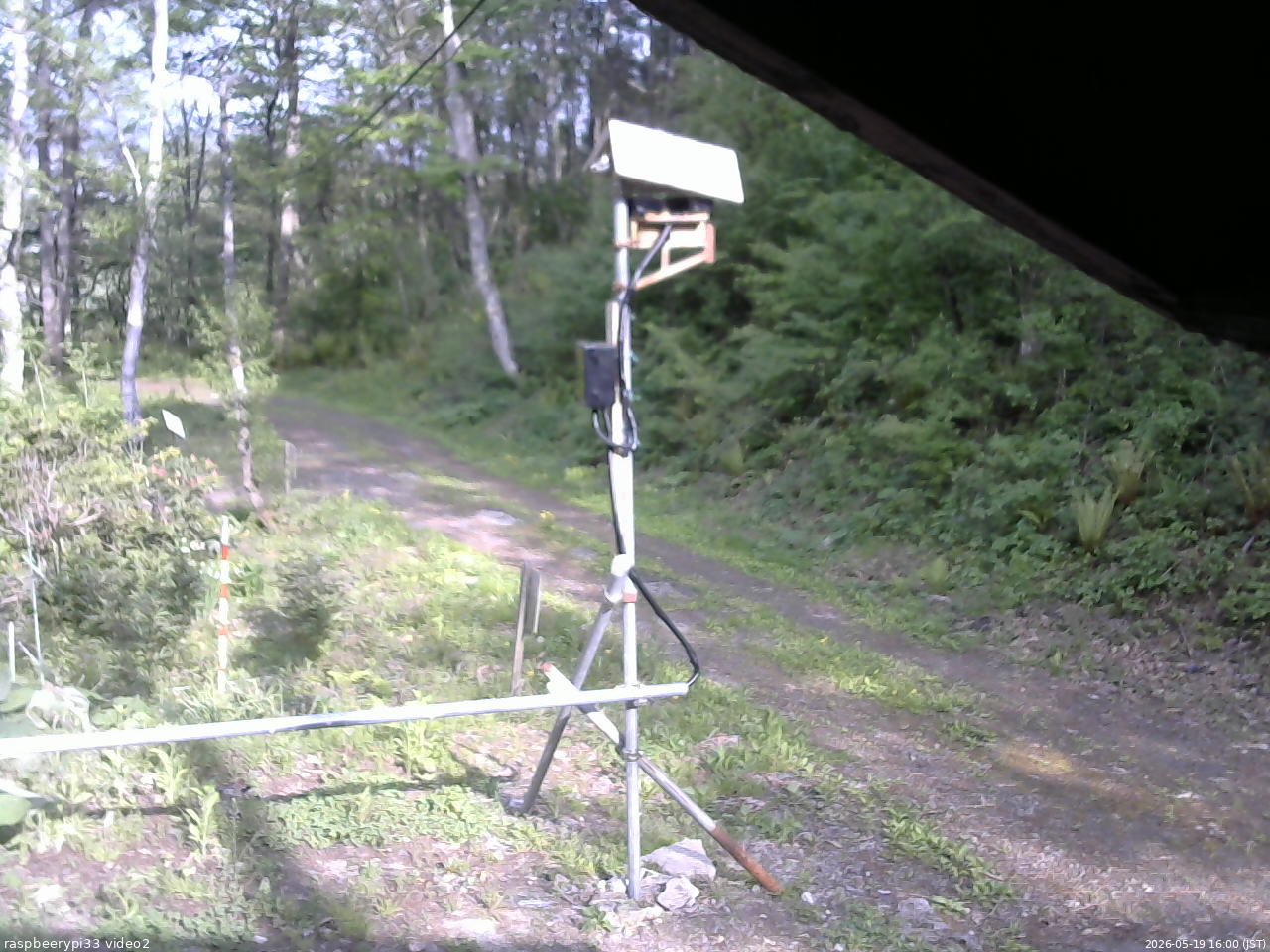 長野県菅平高原 ゆたか山荘 南側 2026/05/19 16:00
