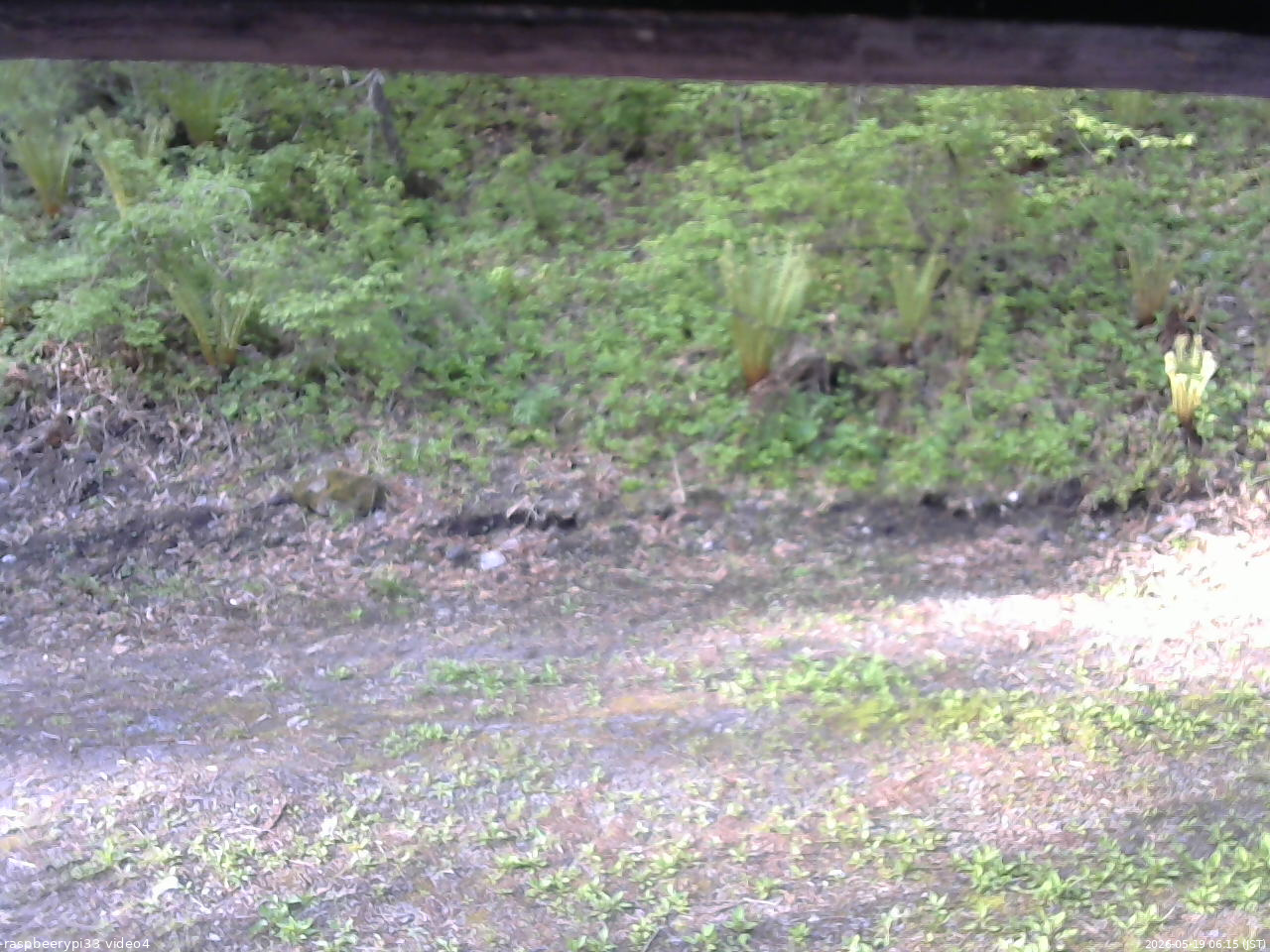長野県菅平高原 ゆたか山荘 東側(坂下) 2026/05/19 06:15