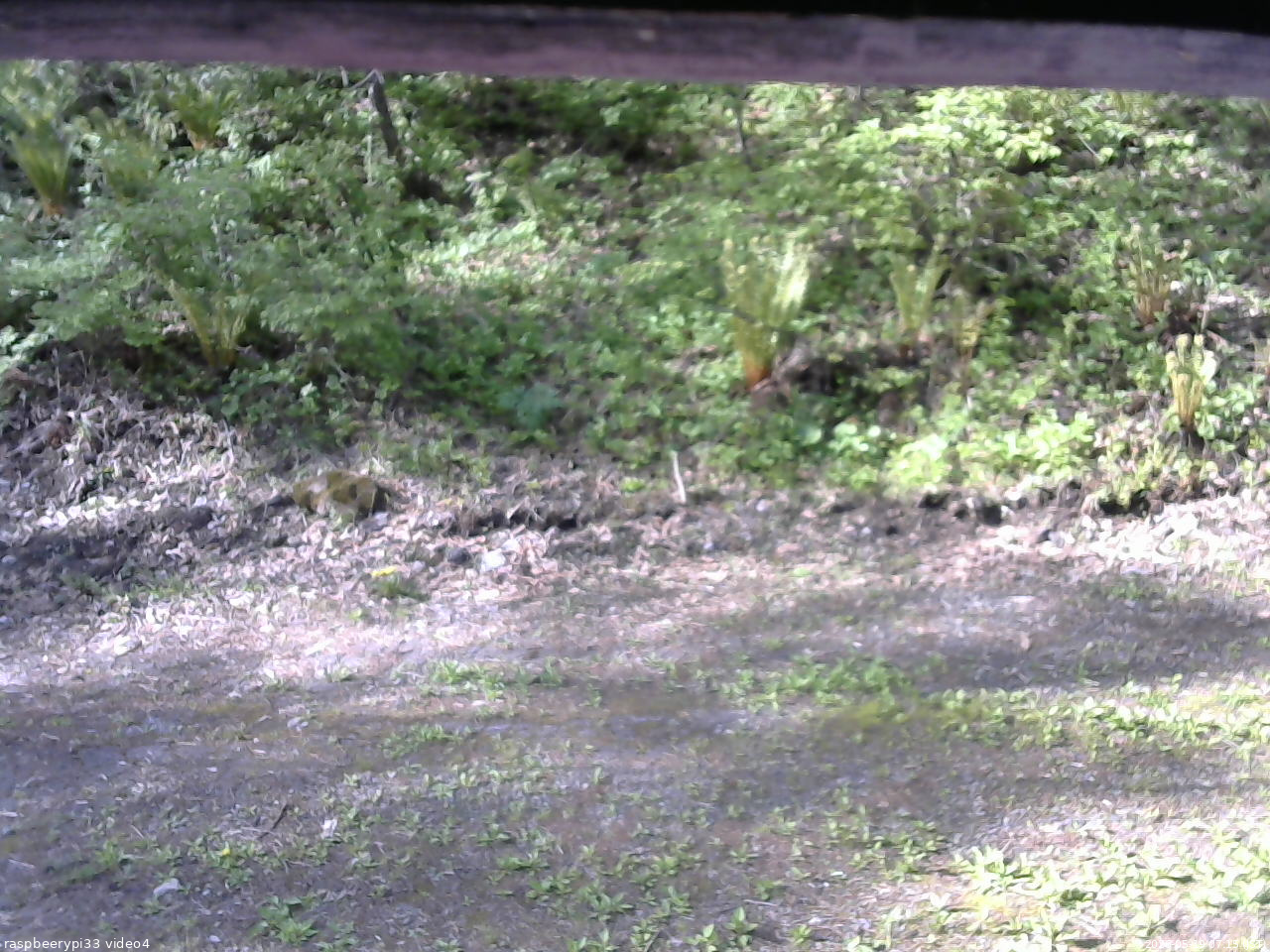 長野県菅平高原 ゆたか山荘 東側(坂下) 2026/05/19 07:15