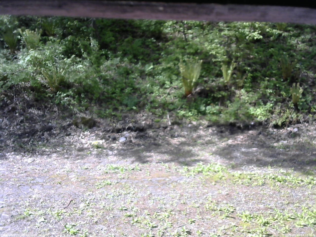 長野県菅平高原 ゆたか山荘 東側(坂下) 2026/05/19 08:15