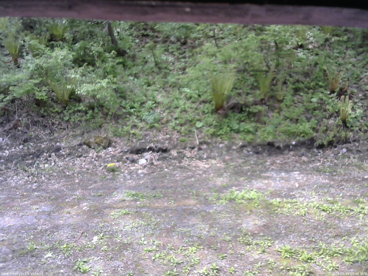 長野県菅平高原 ゆたか山荘 東側(坂下) 2026/05/19 09:45
