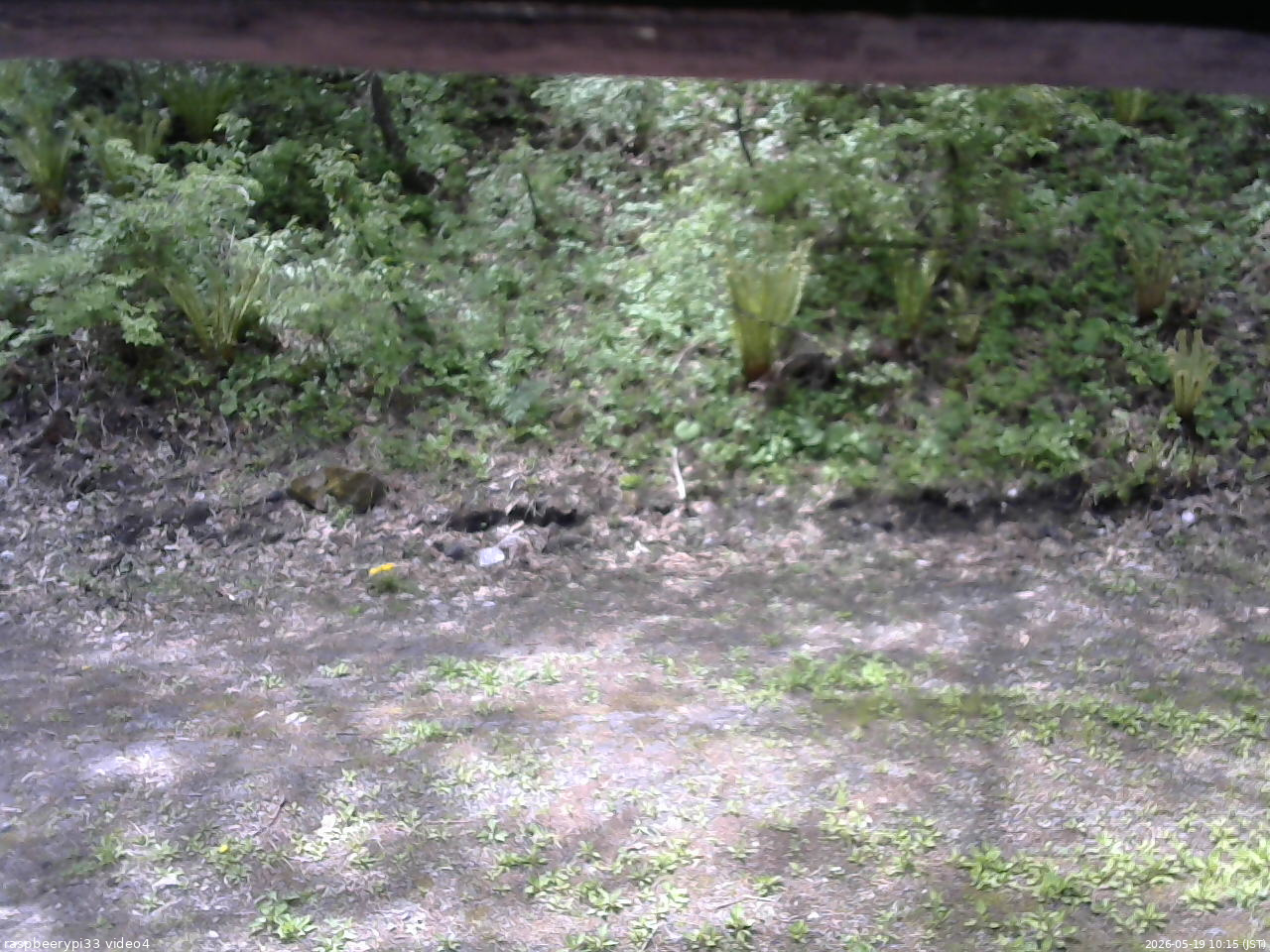 長野県菅平高原 ゆたか山荘 東側(坂下) 2026/05/19 10:15
