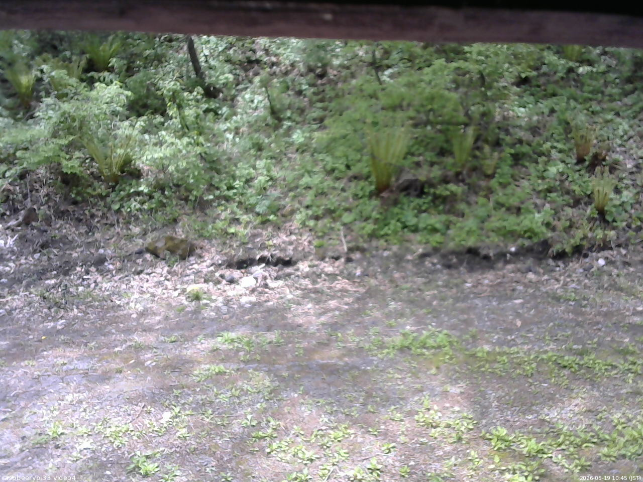長野県菅平高原 ゆたか山荘 東側(坂下) 2026/05/19 10:45