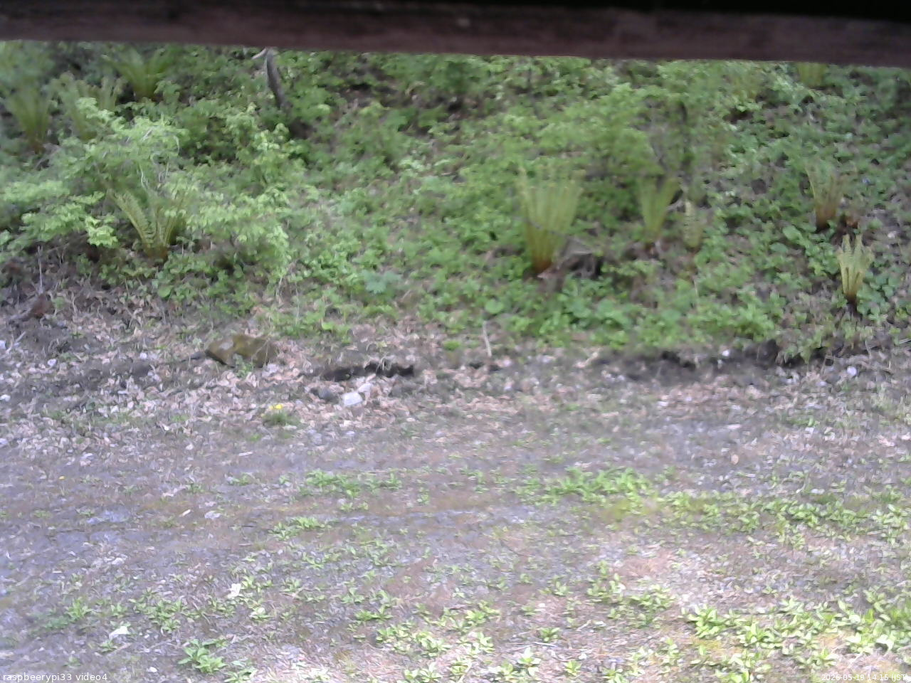 長野県菅平高原 ゆたか山荘 東側(坂下) 2026/05/19 14:15