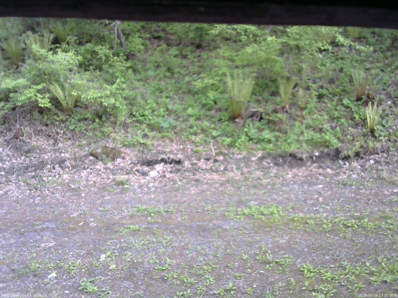長野県菅平高原 ゆたか山荘 東側(坂下) 2026/05/19 17:15