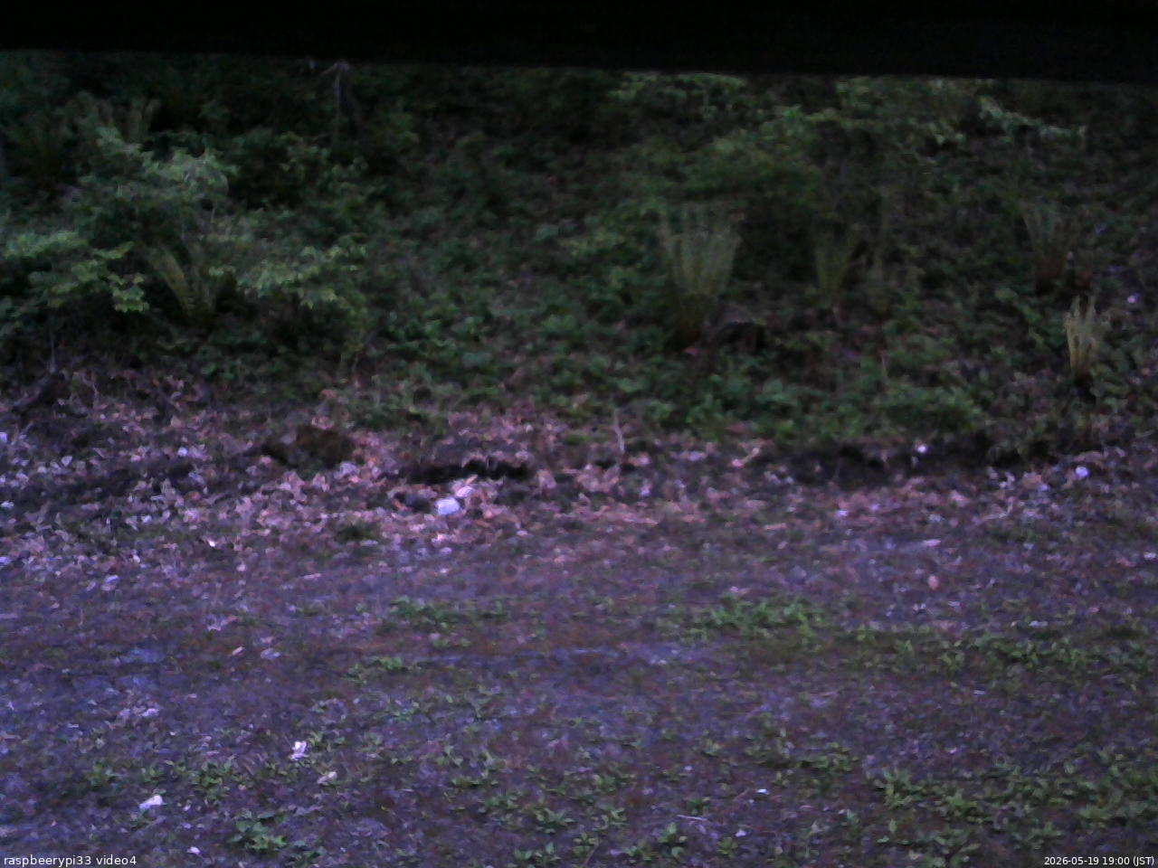 長野県菅平高原 ゆたか山荘 東側(坂下) 2026/05/19 19:00