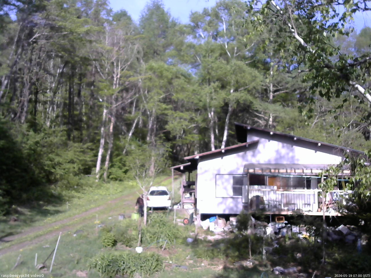 長野県菅平高原 ゆたか山荘 西側(坂上) 2026/05/19 07:00