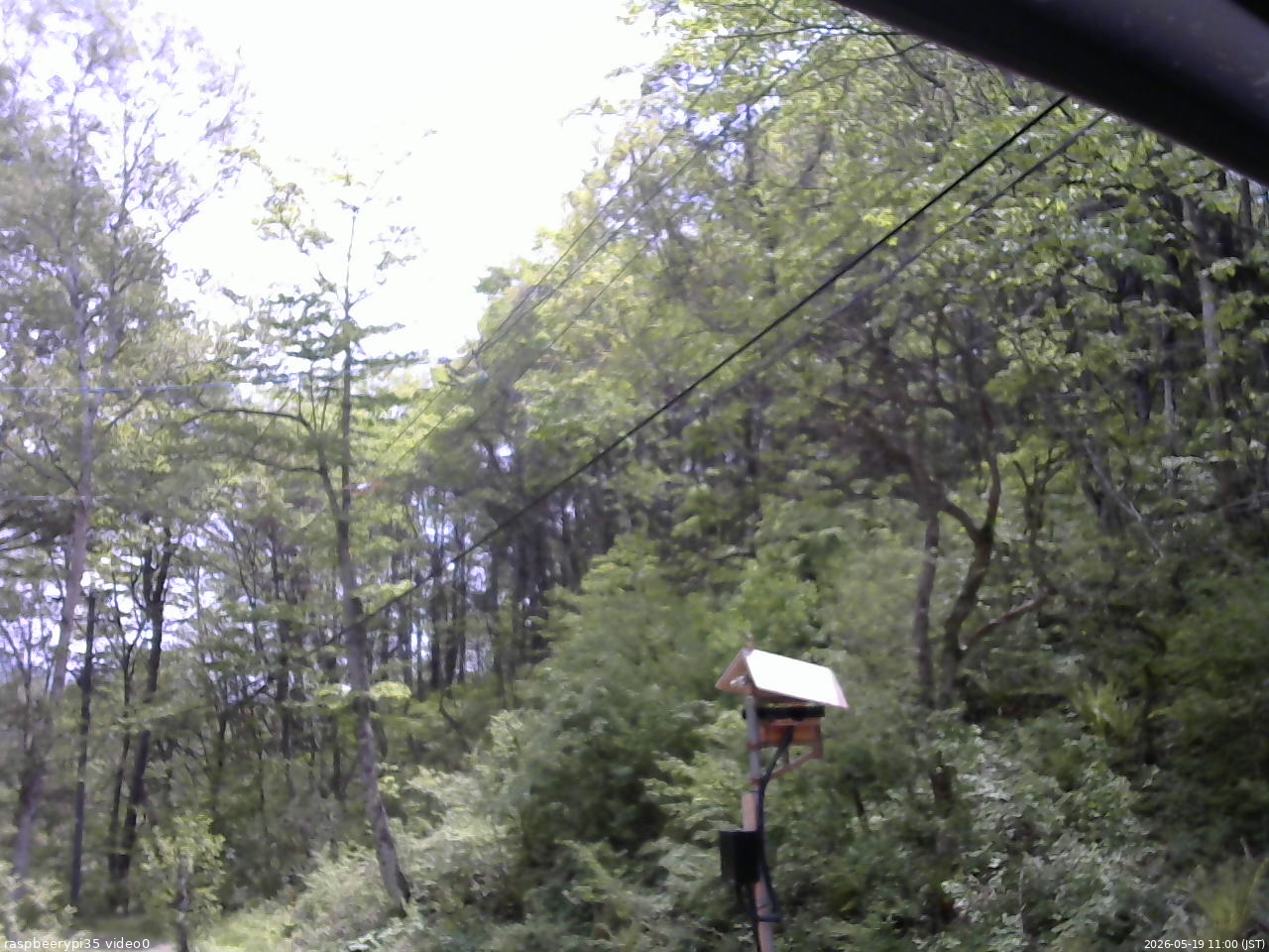 長野県菅平高原 ゆたか山荘 温度計 2026/05/19 11:00