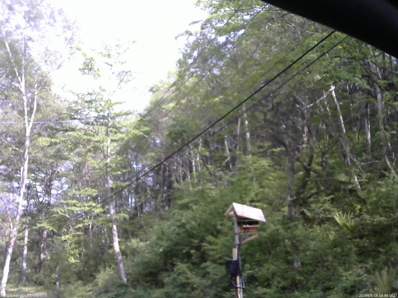 長野県菅平高原 ゆたか山荘 温度計 2026/05/19 14:45