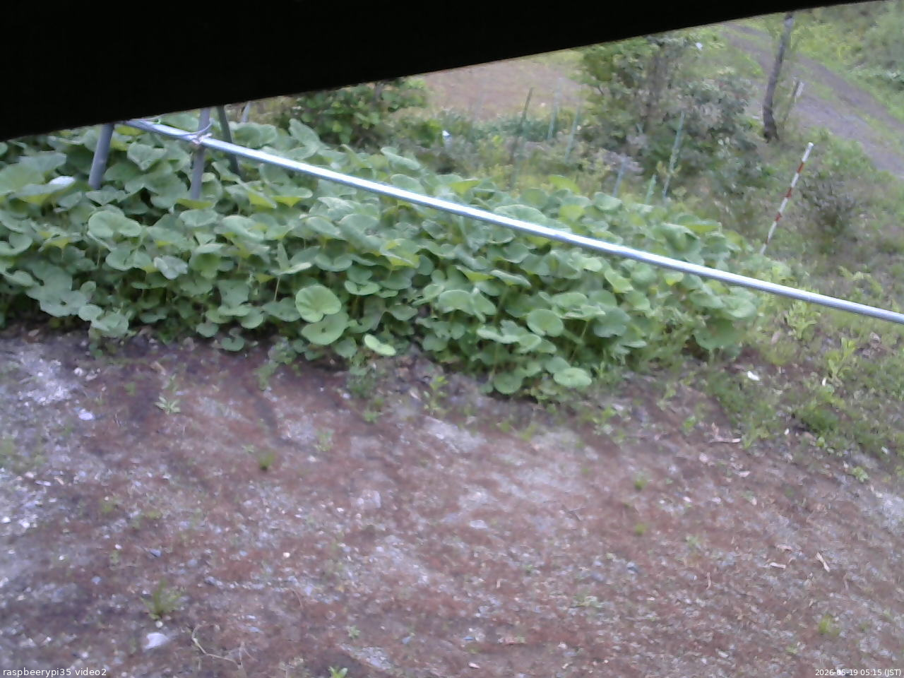 長野県菅平高原 ゆたか山荘 駐車場 2026/05/19 05:15