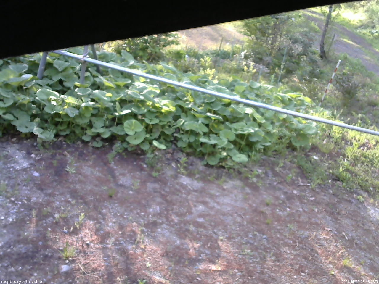 長野県菅平高原 ゆたか山荘 駐車場 2026/05/19 05:45