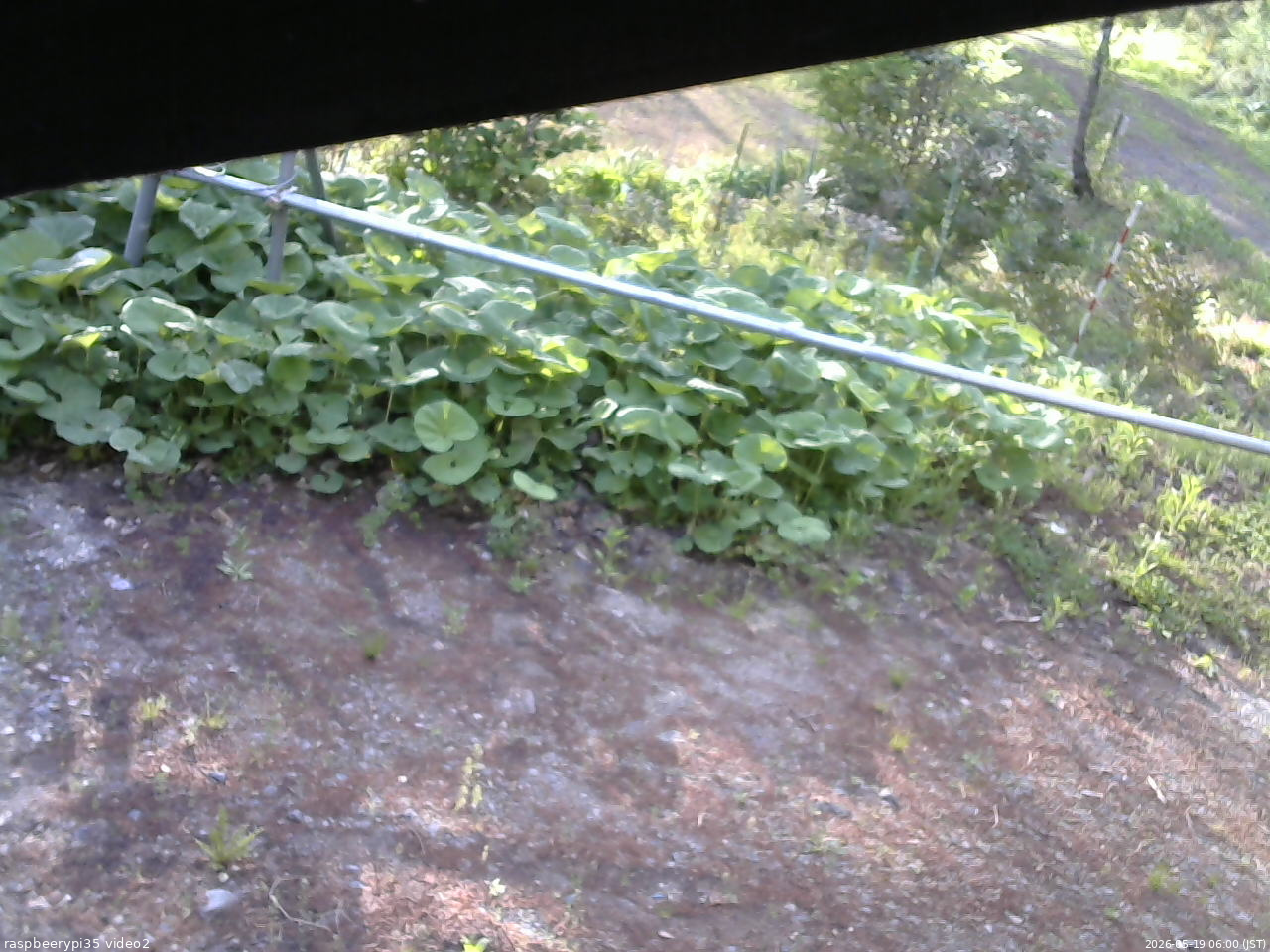 長野県菅平高原 ゆたか山荘 駐車場 2026/05/19 06:00