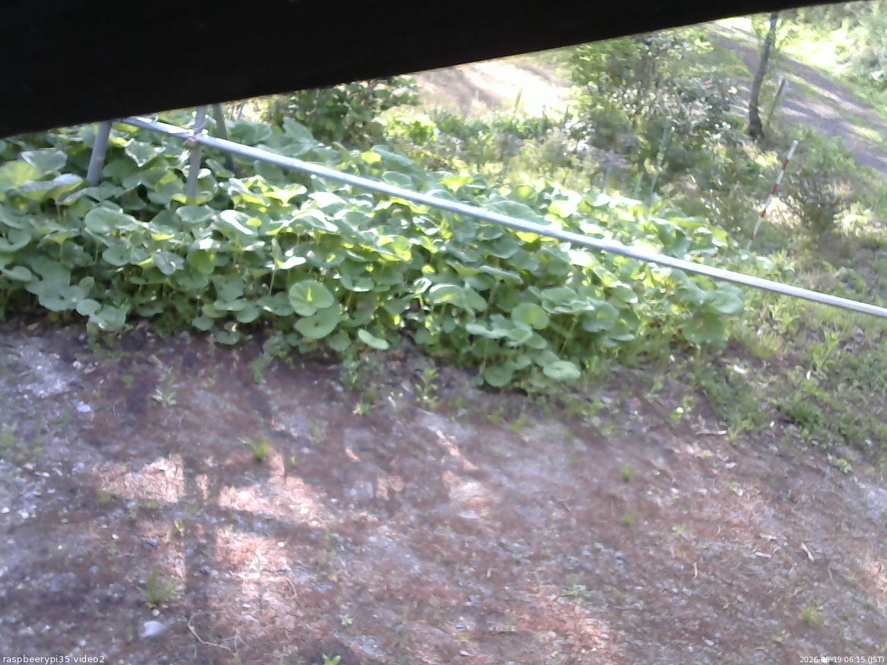 長野県菅平高原 ゆたか山荘 駐車場 2026/05/19 06:15
