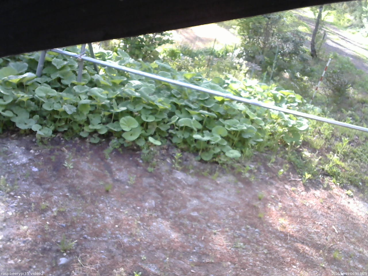 長野県菅平高原 ゆたか山荘 駐車場 2026/05/19 06:30