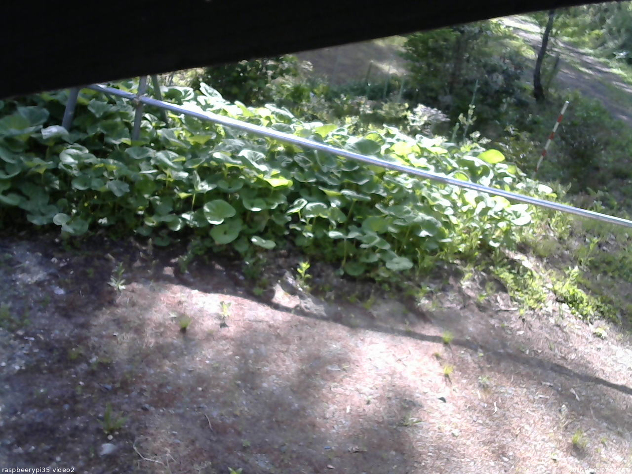 長野県菅平高原 ゆたか山荘 駐車場 2026/05/19 07:30