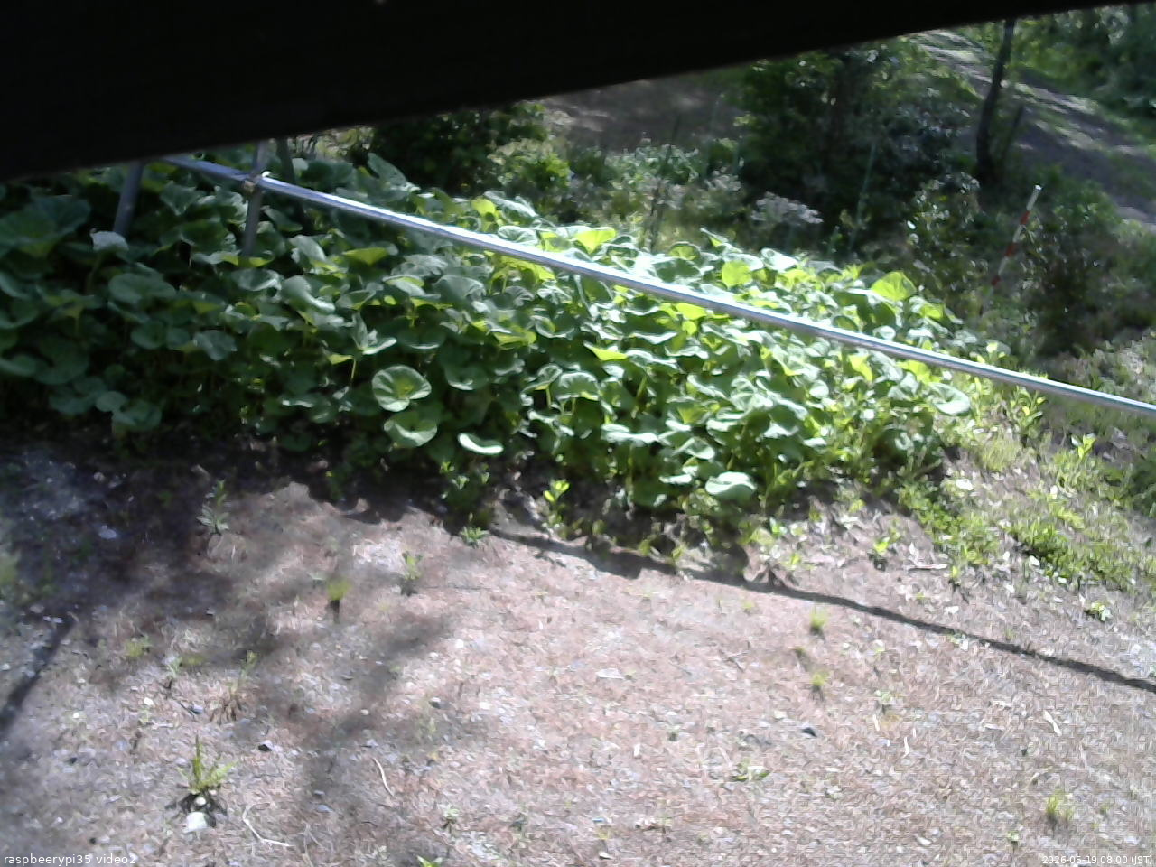 長野県菅平高原 ゆたか山荘 駐車場 2026/05/19 08:00