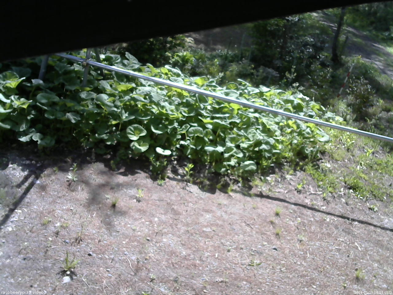 長野県菅平高原 ゆたか山荘 駐車場 2026/05/19 08:15