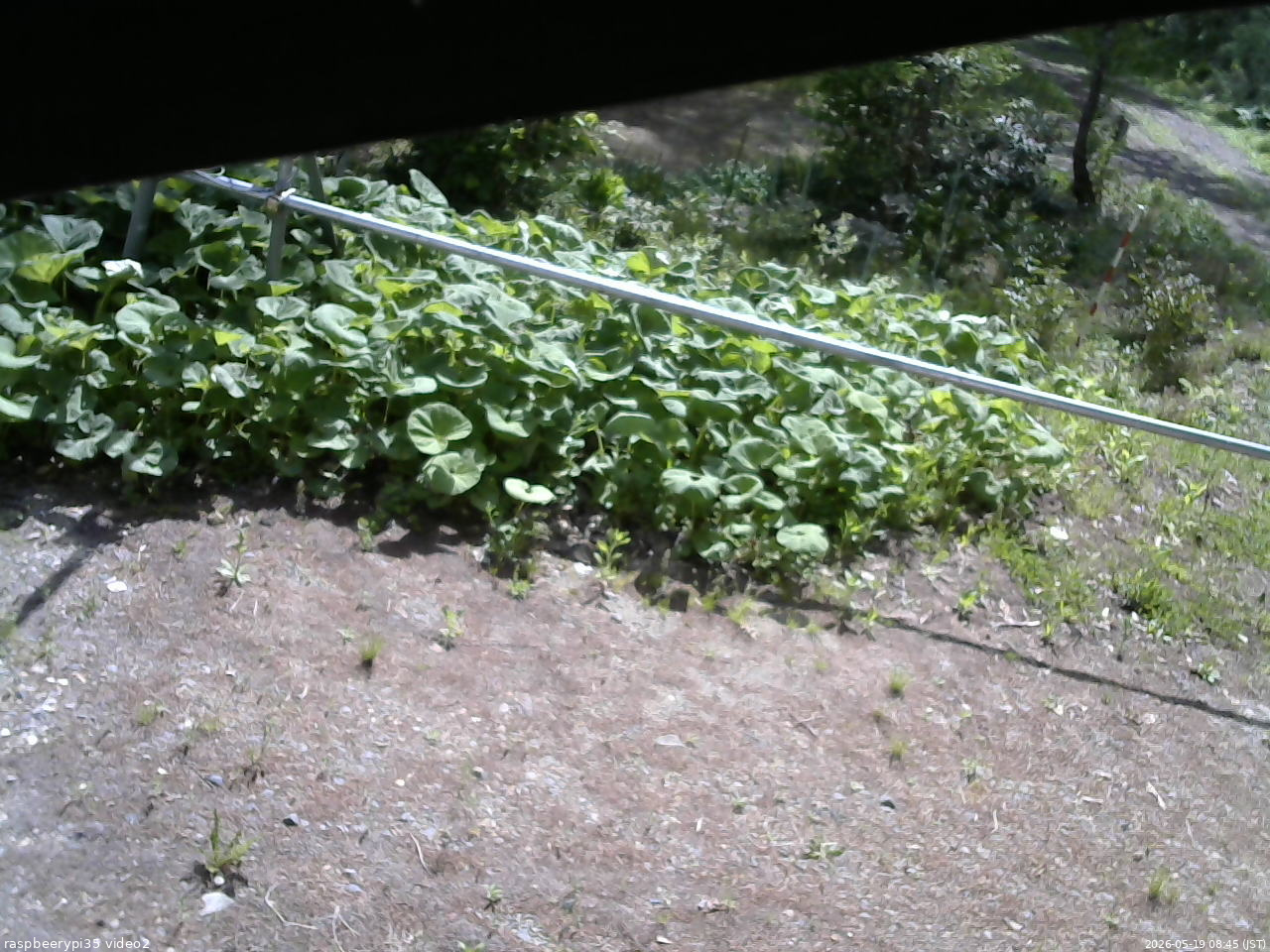 長野県菅平高原 ゆたか山荘 駐車場 2026/05/19 08:45