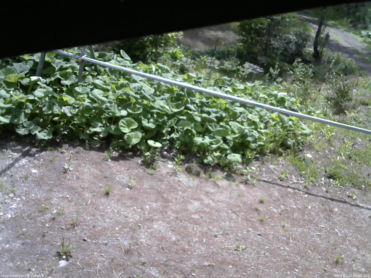長野県菅平高原 ゆたか山荘 駐車場 2026/05/19 09:00