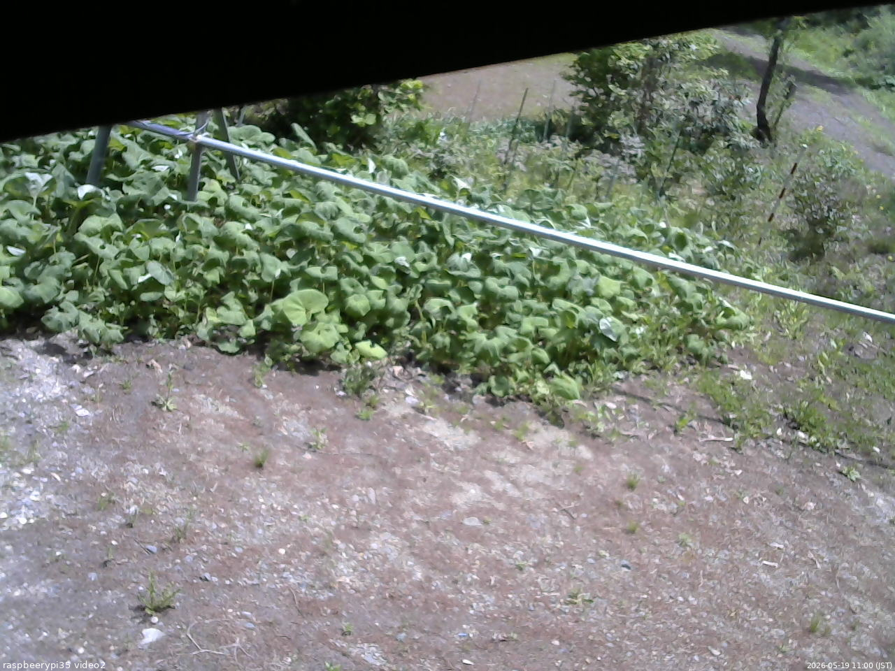 長野県菅平高原 ゆたか山荘 駐車場 2026/05/19 11:00