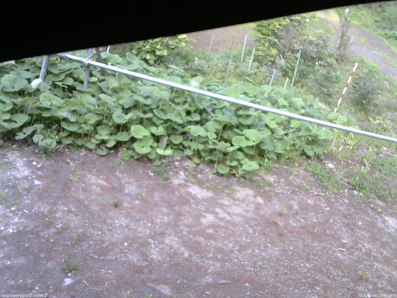 長野県菅平高原 ゆたか山荘 駐車場 2026/05/19 17:30