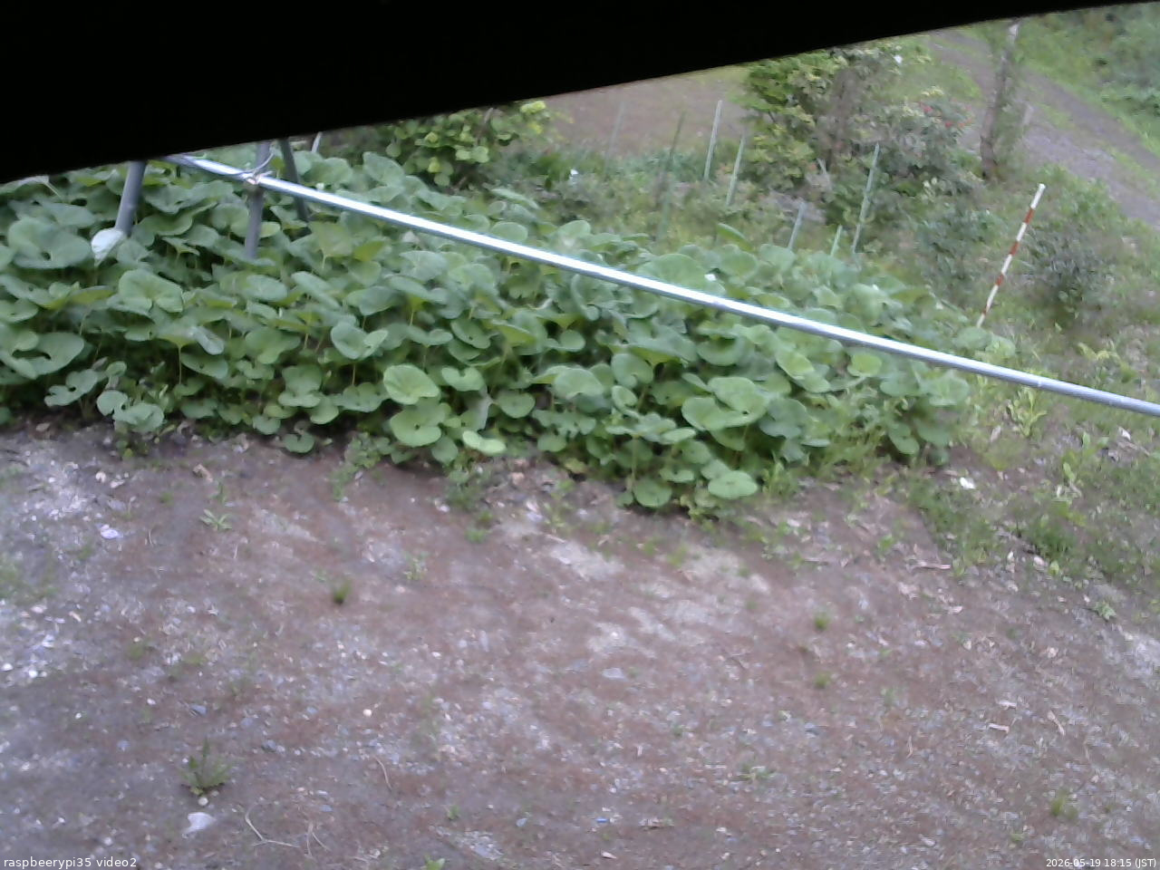 長野県菅平高原 ゆたか山荘 駐車場 2026/05/19 18:15