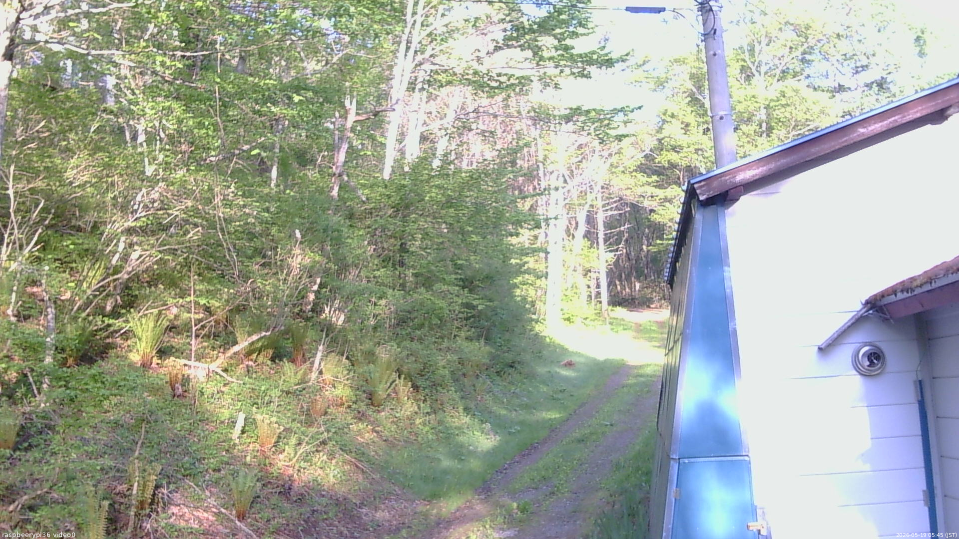長野県菅平高原 ゆたか山荘 ゆたか山荘 2026/05/19 05:45